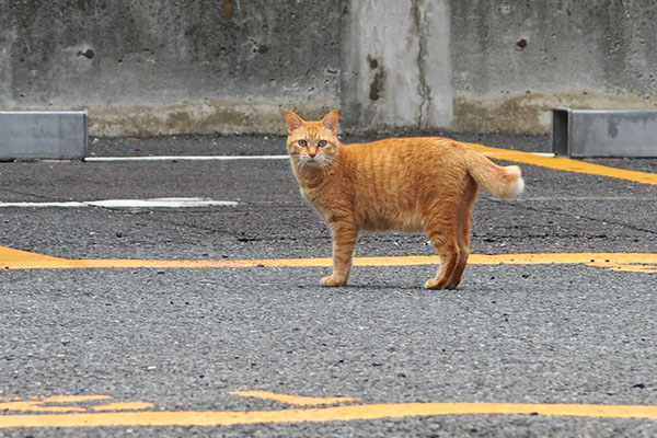 気が付くそらちゃん