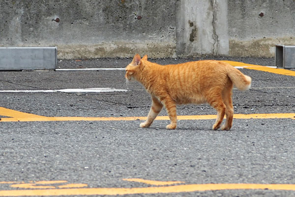 無視して帰るそらちゃん