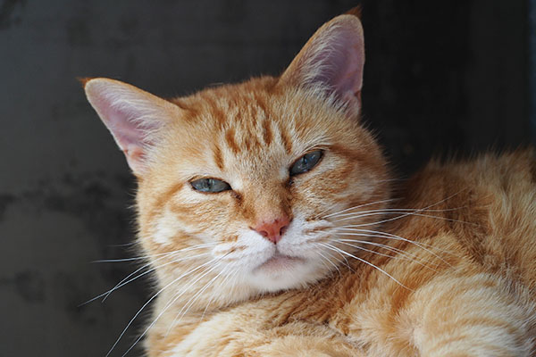 少しマシ そらちゃん