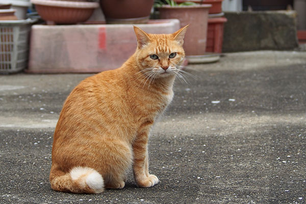 呆れるそらちゃん