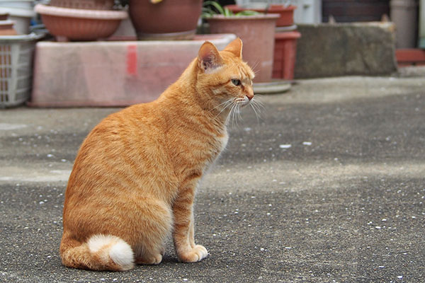 横向きお座り そらちゃん