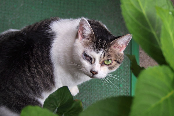 おまえじゃない　ケイ