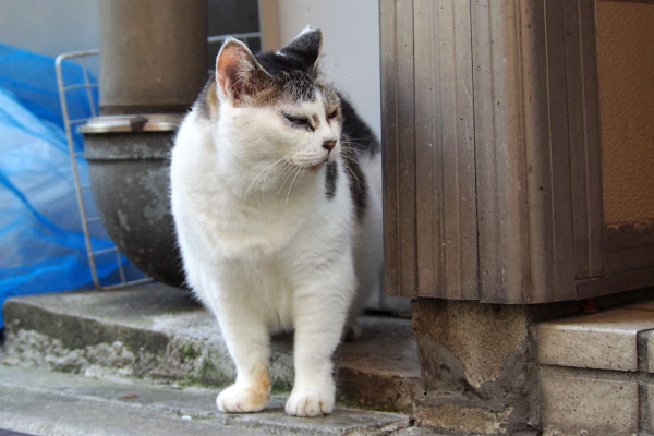 ケイ　オヤツ場所の確認