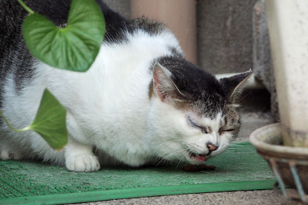 ケイ　オヤツ食べる
