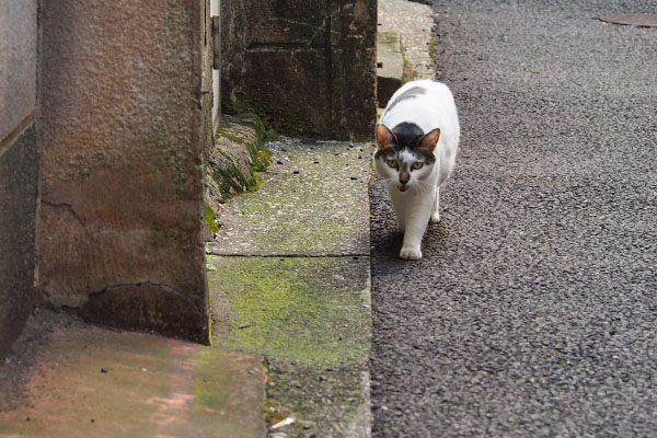 しろまる　変な場所で