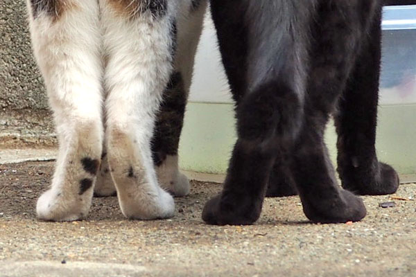 足がかわいいふたり