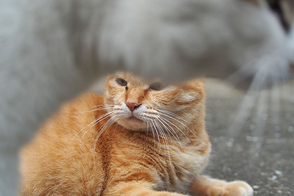 セイが目の前通過