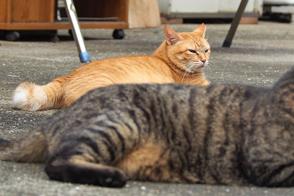 まあいいか　そらちゃん