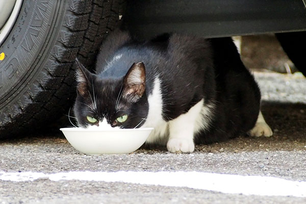 こまち 睨みつけ