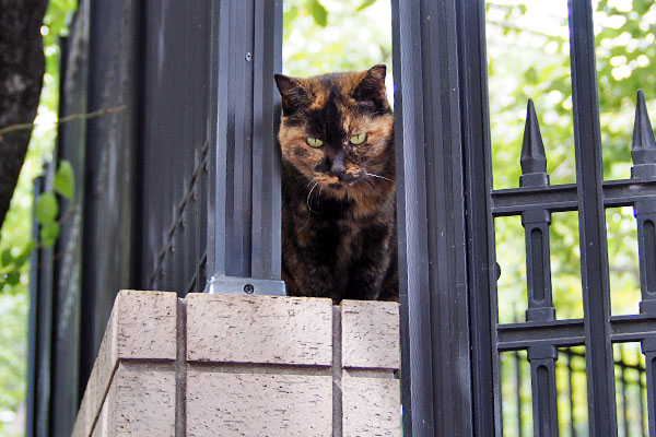 いやそこは ロミ