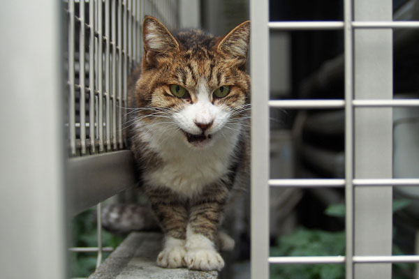 ドライ拒否 サーヤ