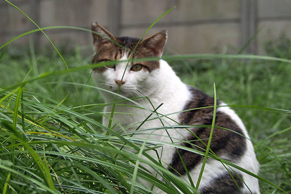 ルーフ　下に来た