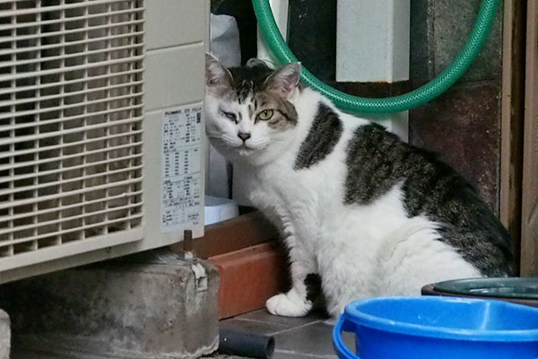 確認する　ケイ