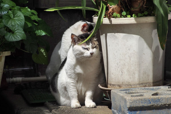 気を抜くふたりケイとオーロラ