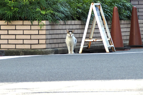 移動の途中　結界　しろまる