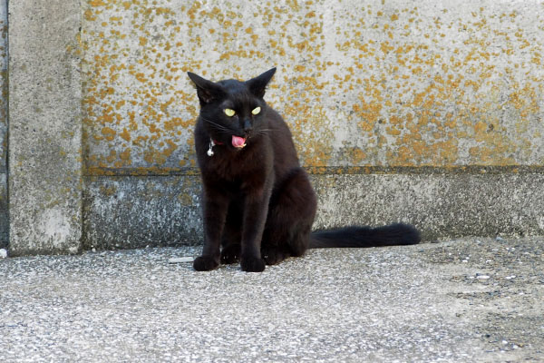 外で食べたい モノタ