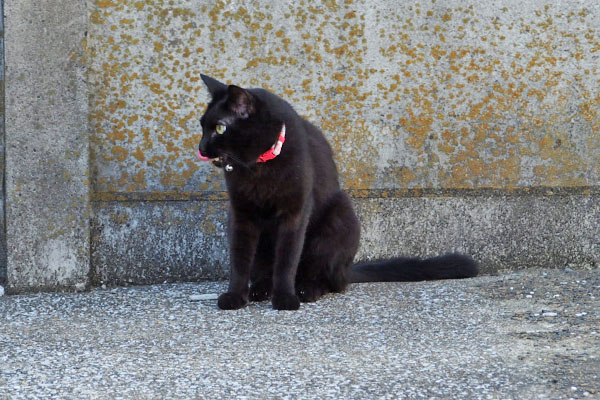 お口整理 モノタ