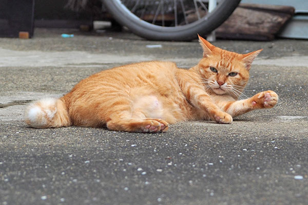 またアタチを そらちゃん