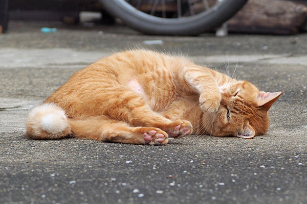 手を湿らせて そらちゃん