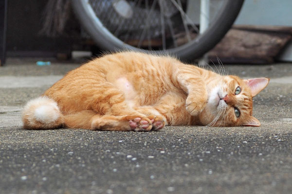 途中休憩 そらちゃん