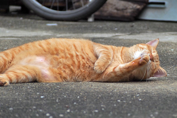 そしてまだ続く そらちゃん