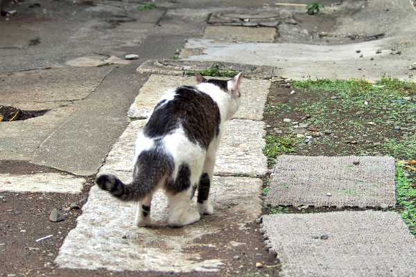 食べた食べた　セイ
