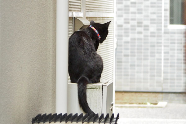 道路見る モノタ