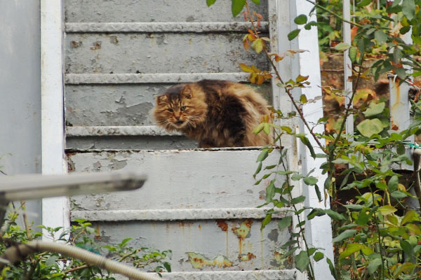 気付く　メレンゲ