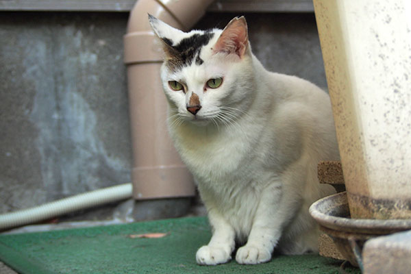 定位置に　オーロラ