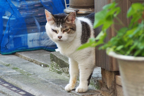 ふっ　ケイの貫禄