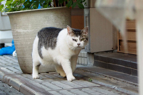 来るようです　ケイ