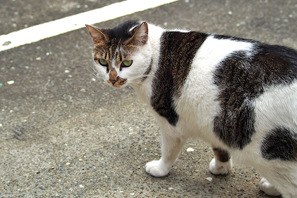 出て来た　セイ