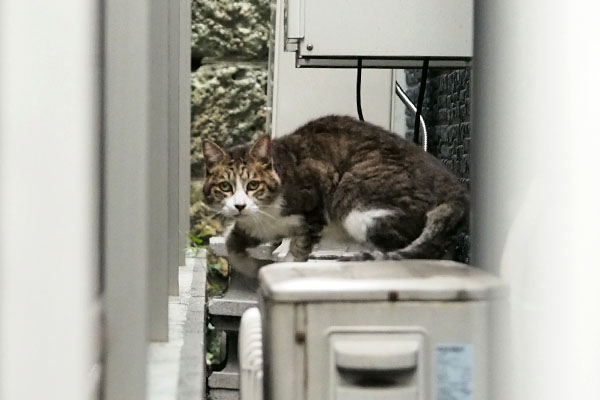 待ってた　サーヤ