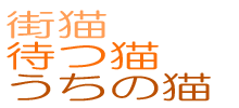 街猫待つ猫うちの猫